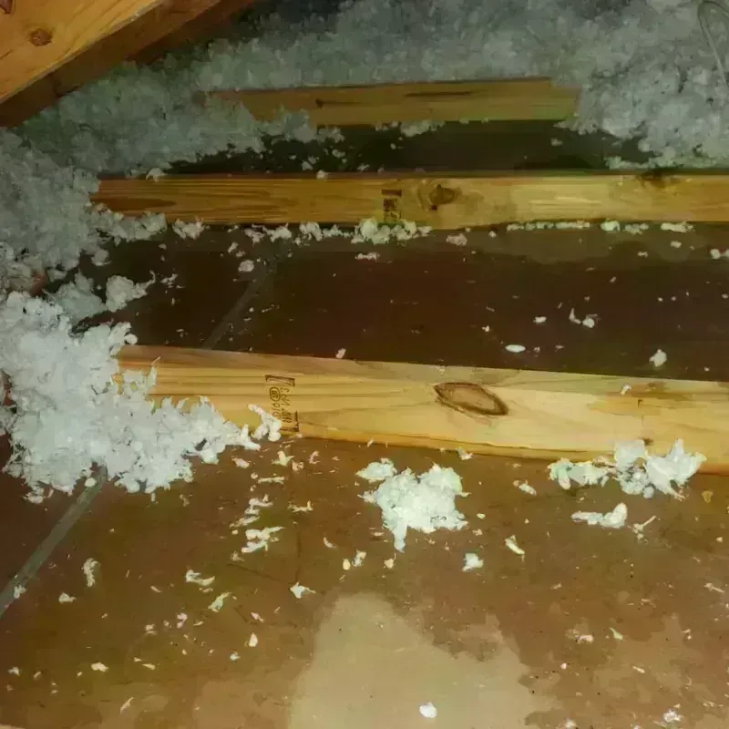 Attic Water Damage in Lake and Peninsula Borough, AK