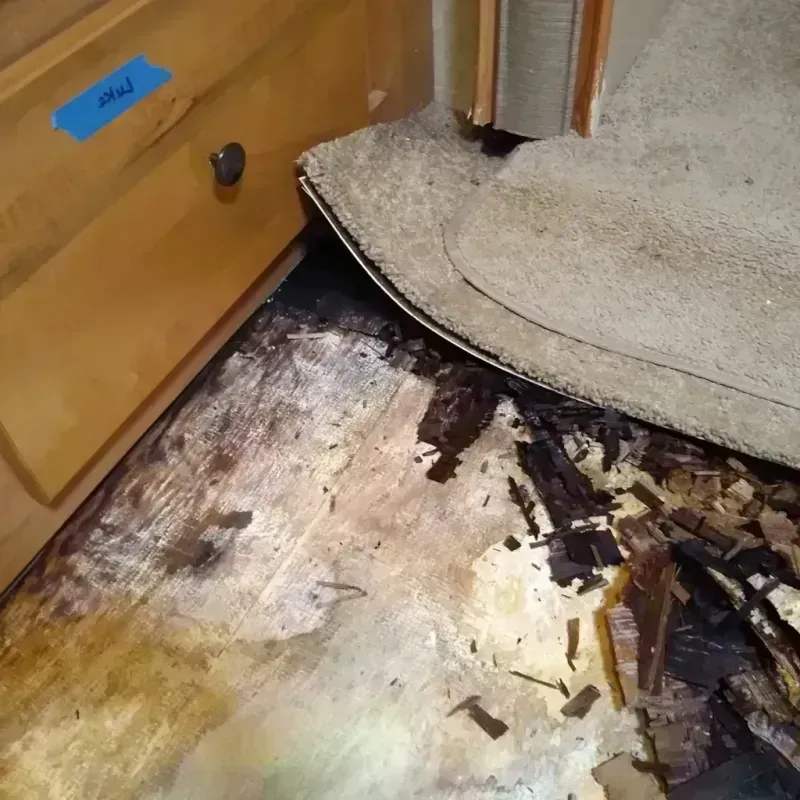 Wood Floor Water Damage in Lake and Peninsula Borough, AK